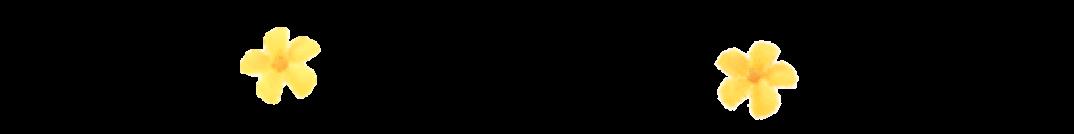 DƬ